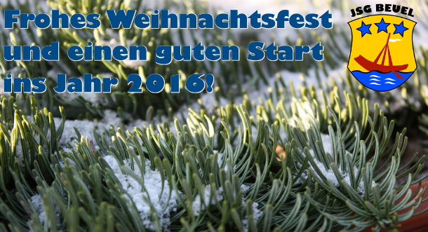 Frohes Weihnachtsfest 2015